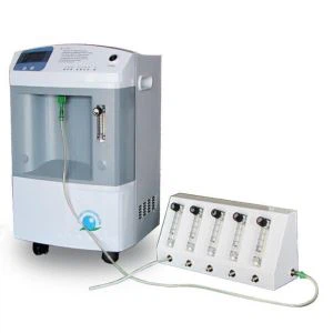 Nebulatal অক্সিজেন কনসেন্টারেটর Nebulizer এবং ফ্লো Splitter সঙ্গে