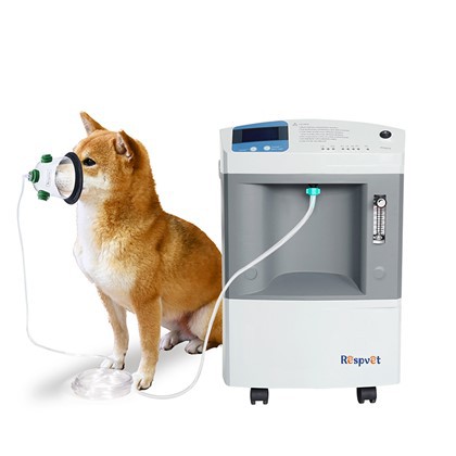 লংফিয়ান সিরিজ পশুচিকিত্সা জন্য অক্সিজেন কেন্দ্রীভূত